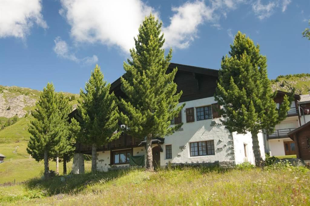 Schoenegg Hochparterre Riederalp Eksteriør bilde